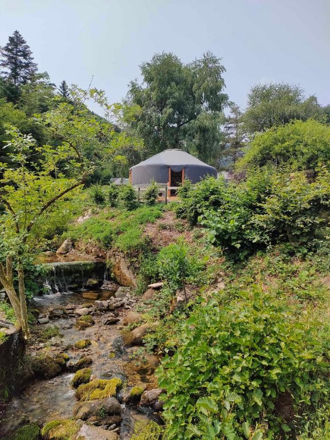 La Yourte Des Bibis Fréland Extérieur photo